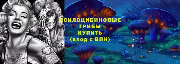 индика Магас
